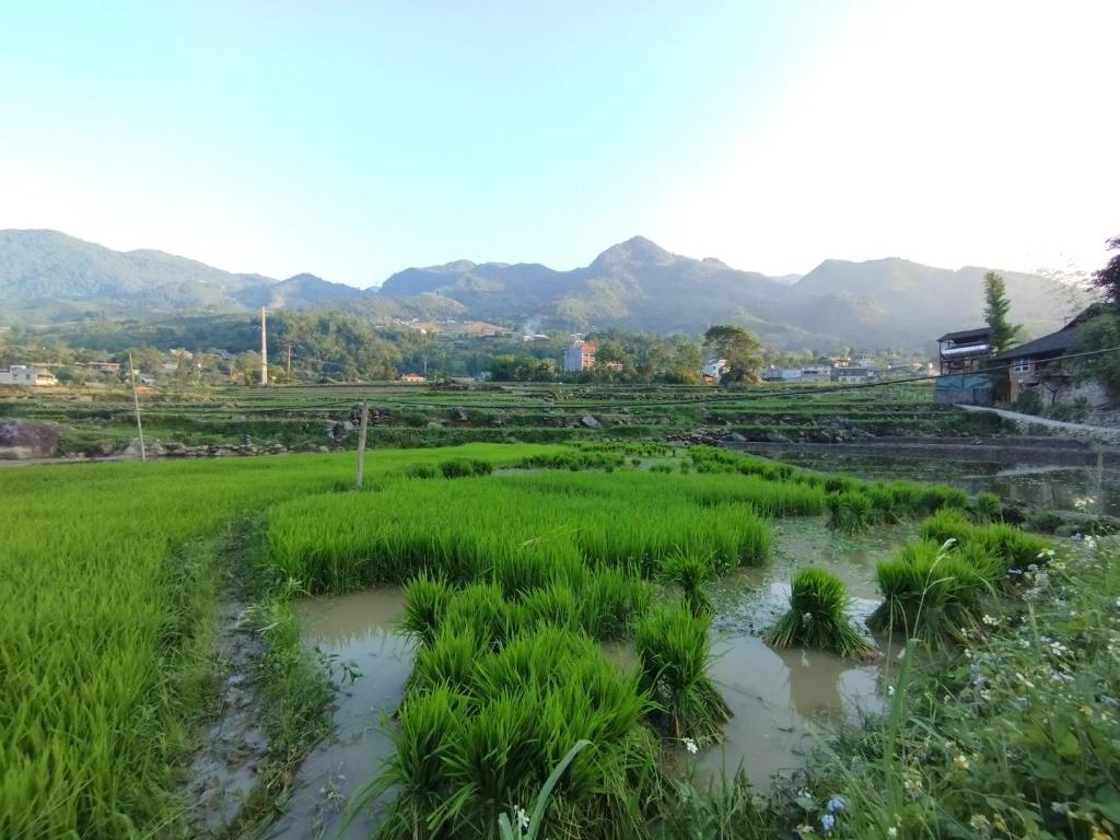 Nhà Bên Suối