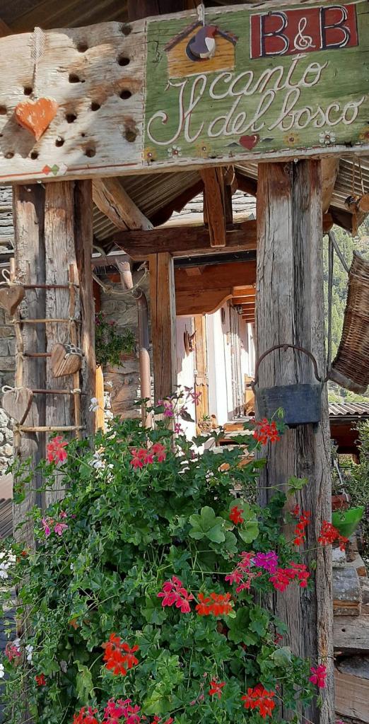 Il canto del bosco photo 2