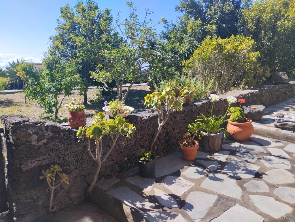 Casa Rural Amapola photo 3