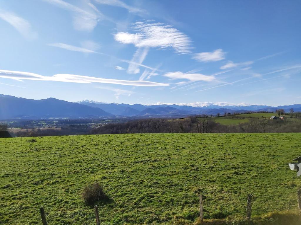 Maison entourée d animaux en pleine campagne photo 3