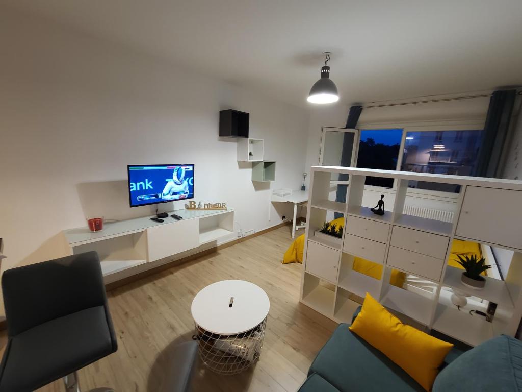 Magnifique Studio 26m2 photo 4