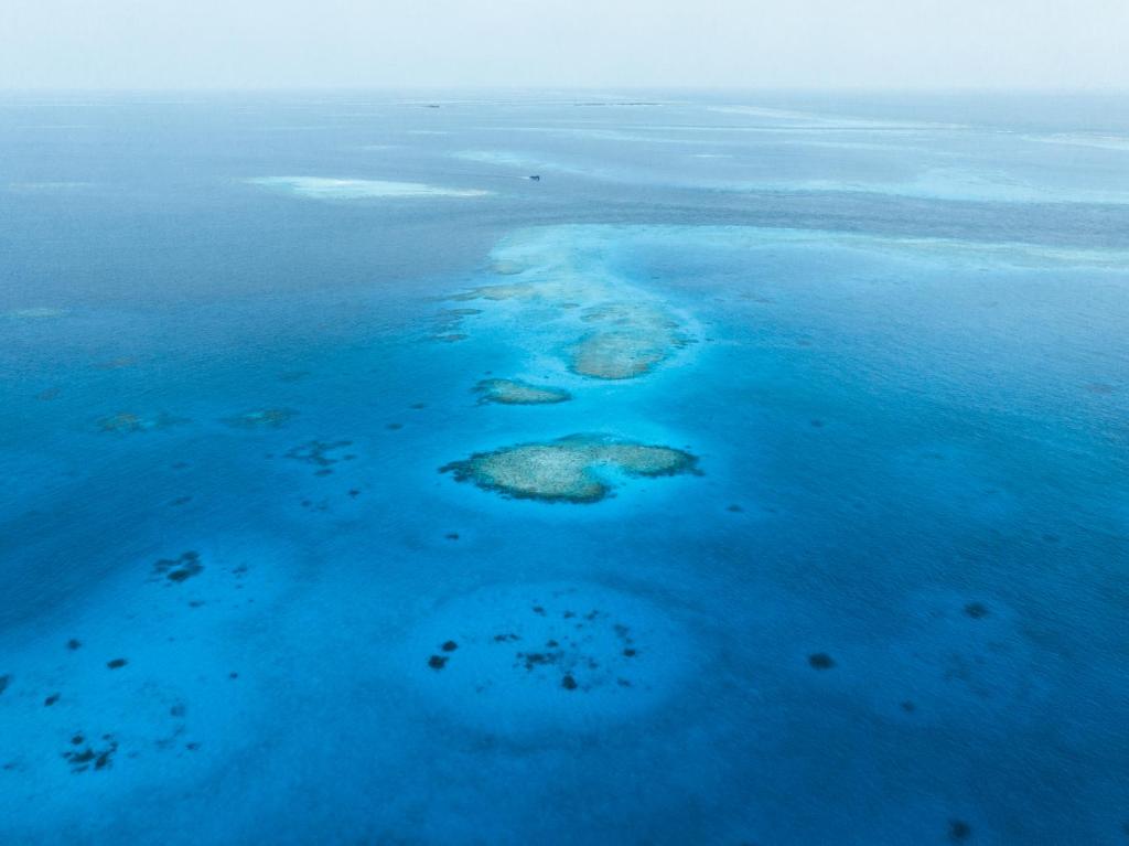 Ninos K.Guraidhoo photo 4