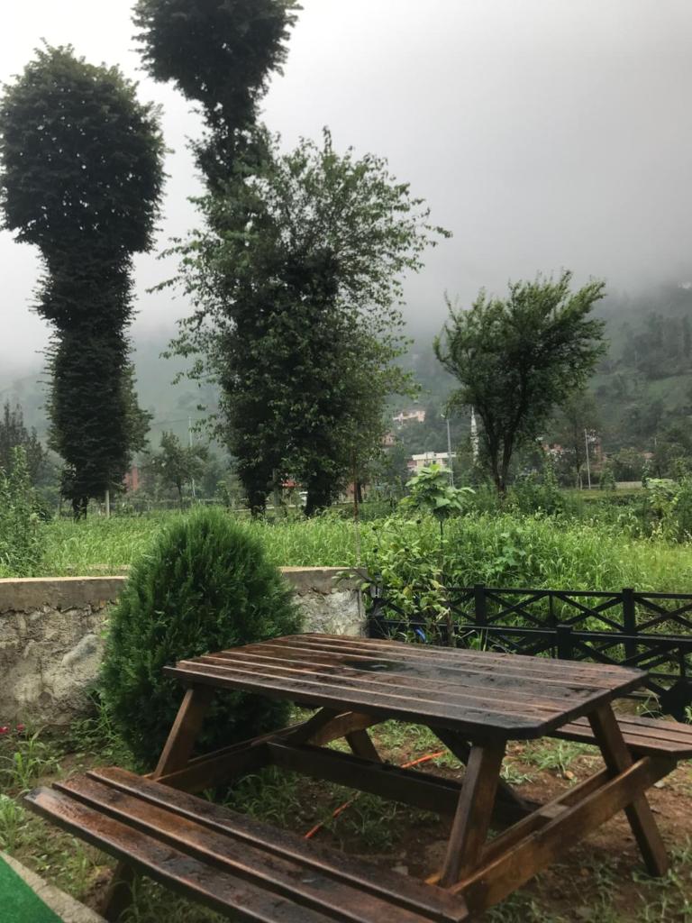 GURI BUNGALOV photo 1