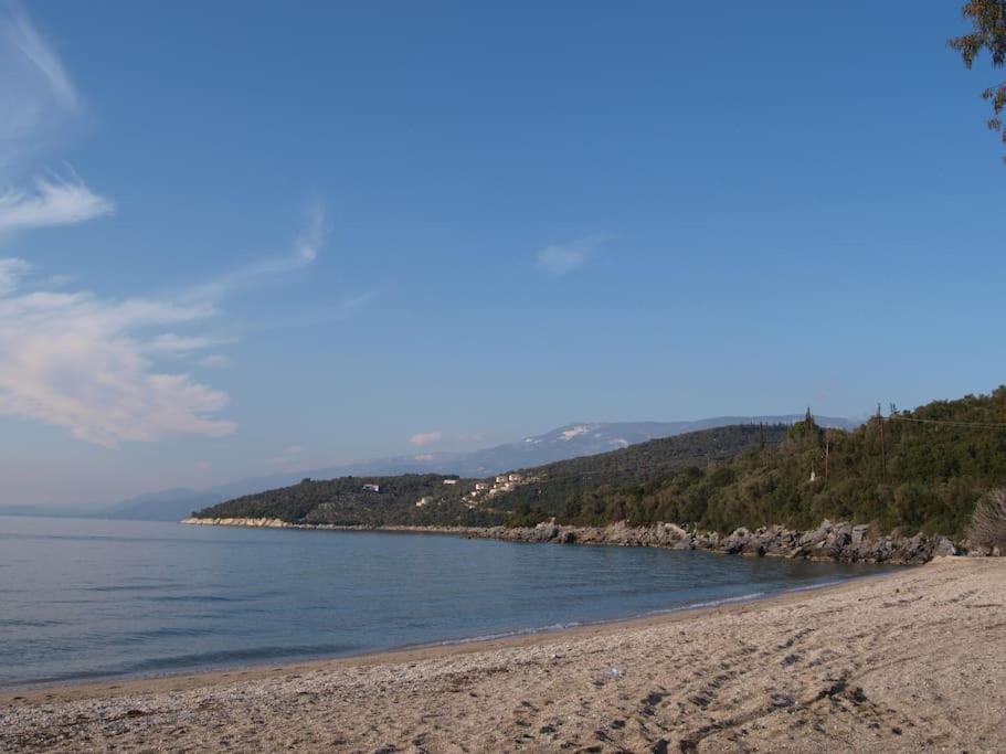 Your house by the sea photo 1