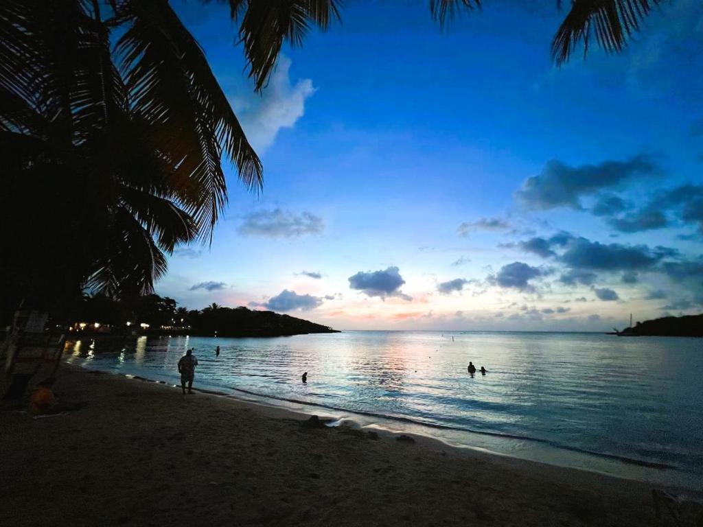 MIRAMAR SUITES photo 2