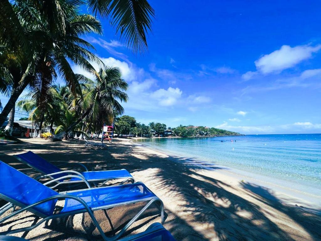 MIRAMAR SUITES photo 1