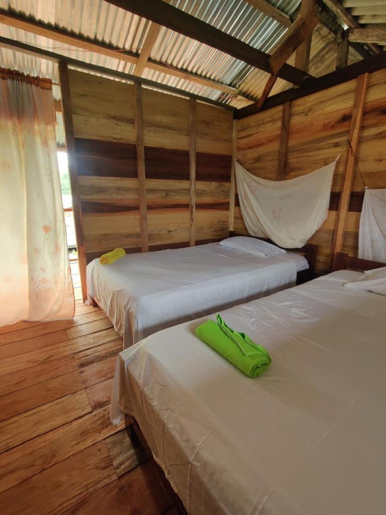 Casa Nuqui Herping photo 3