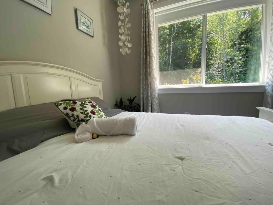 Sanctuary at edge of forest photo 4