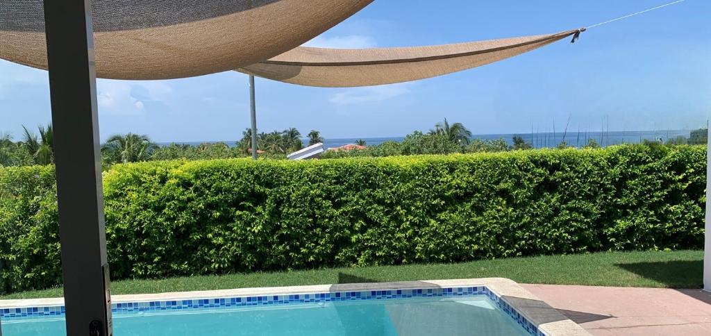 Tropical Vibes Beach House photo 2