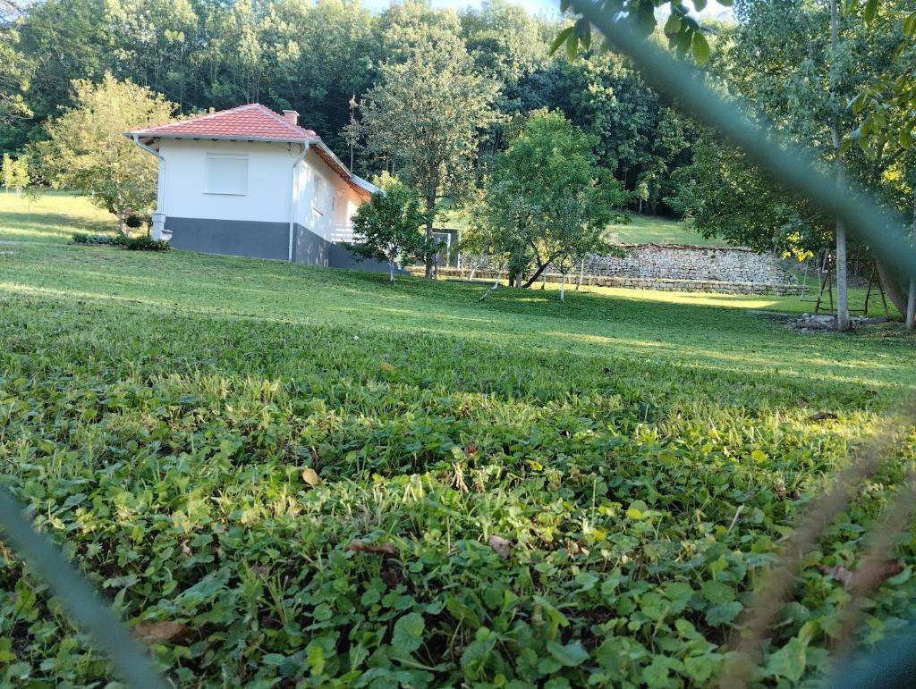 Vitovnicki Mir photo 3