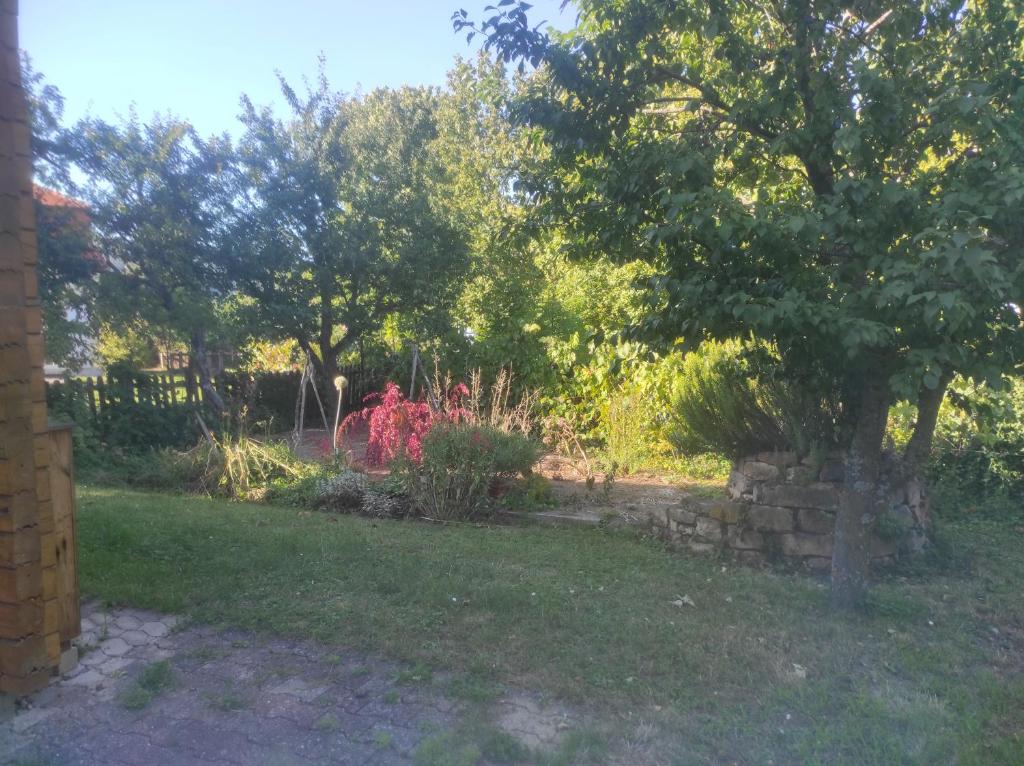 CHALET DU FLORIVAL photo 3