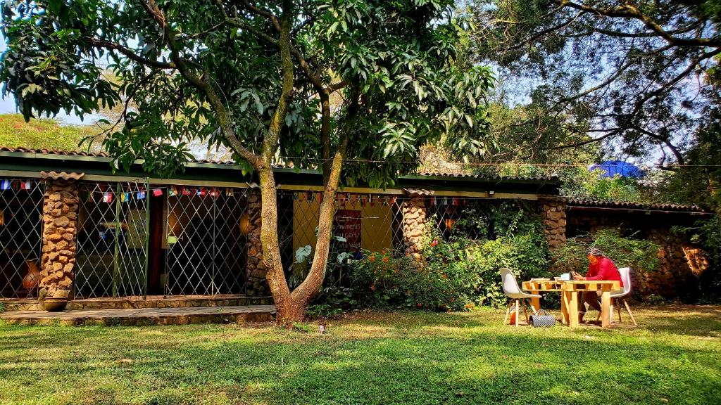 Mad Vervet Nairobi Backpackers Hostel photo 2