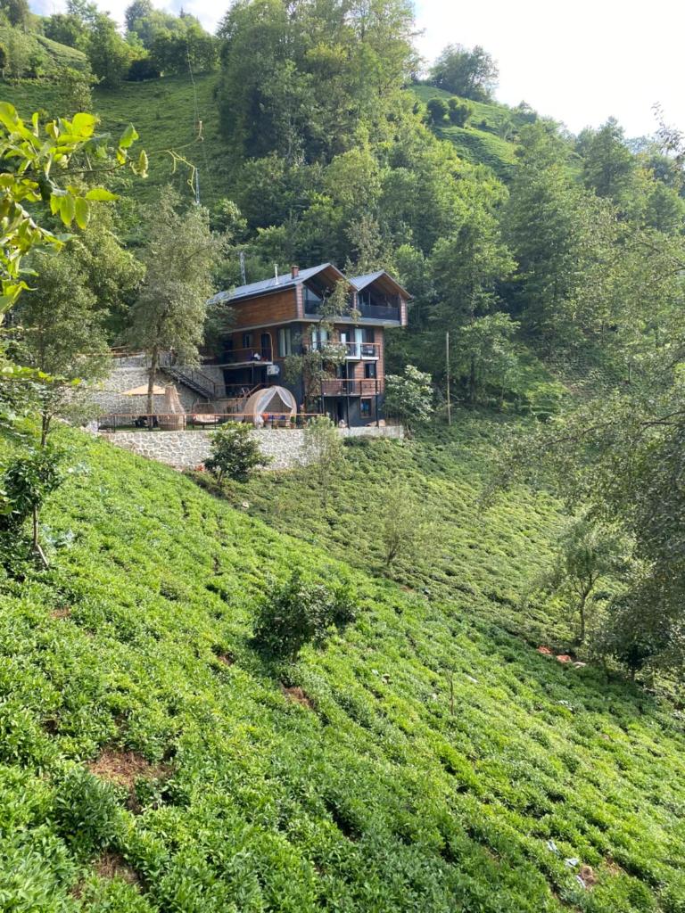 Mezrasuit Bungalov photo 4