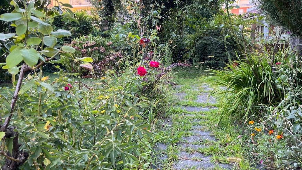 Antica Casa Storica con Giardino photo 1