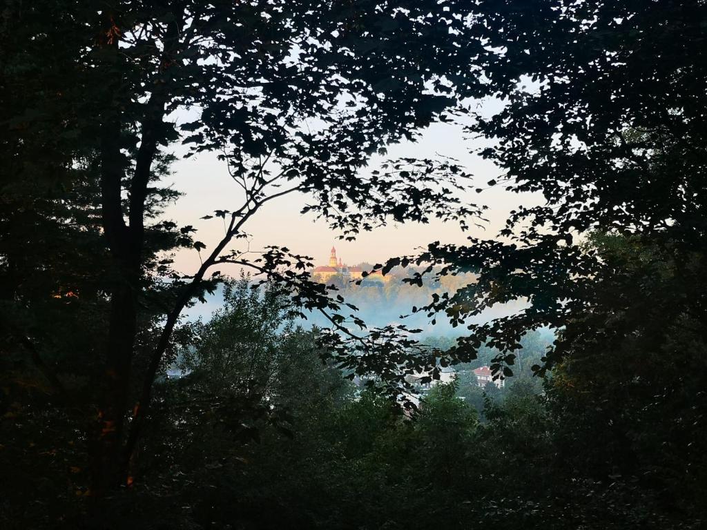 Apartmán Bříza, výhled na zámek photo 4