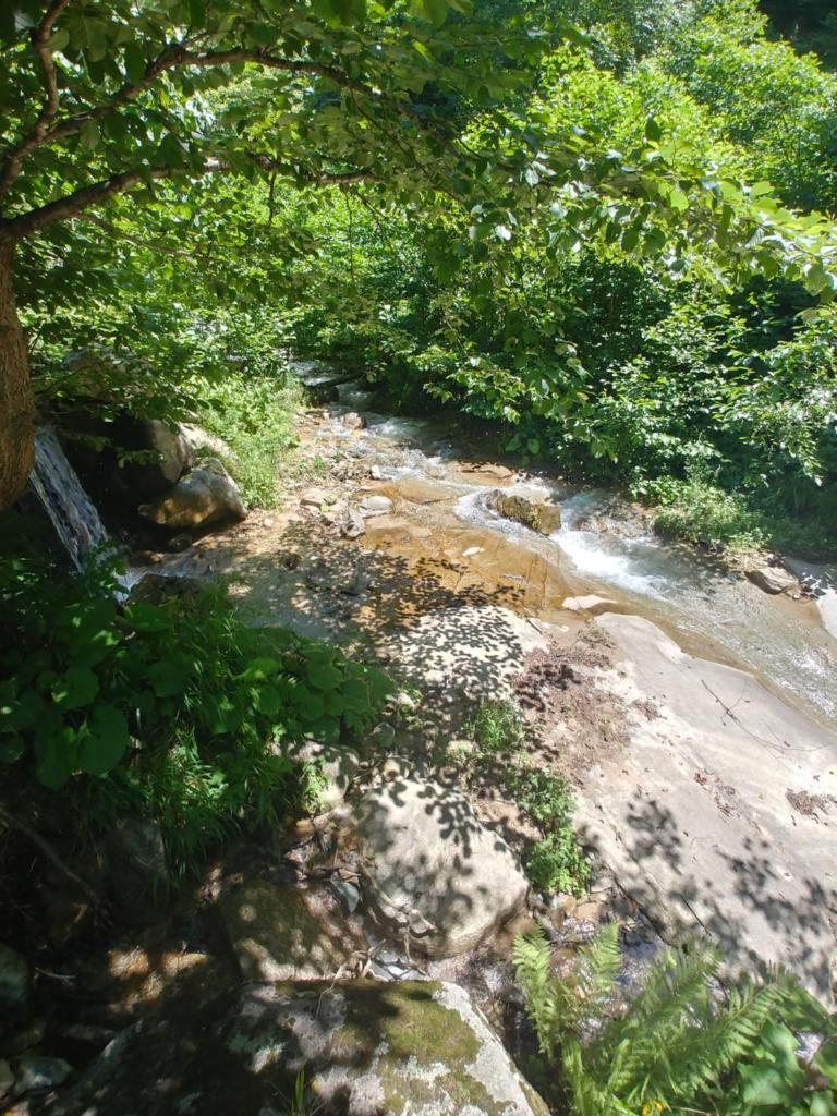 Gamenuraş dağ evi photo 1