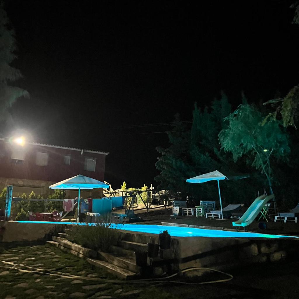 Cabañas Buenache photo 1