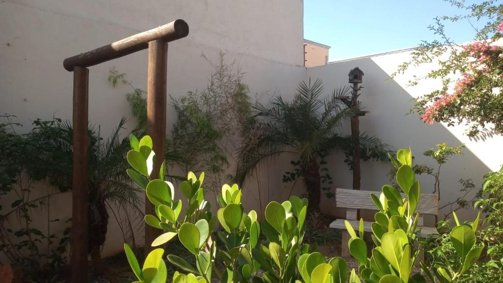 Casa Caluca photo 2