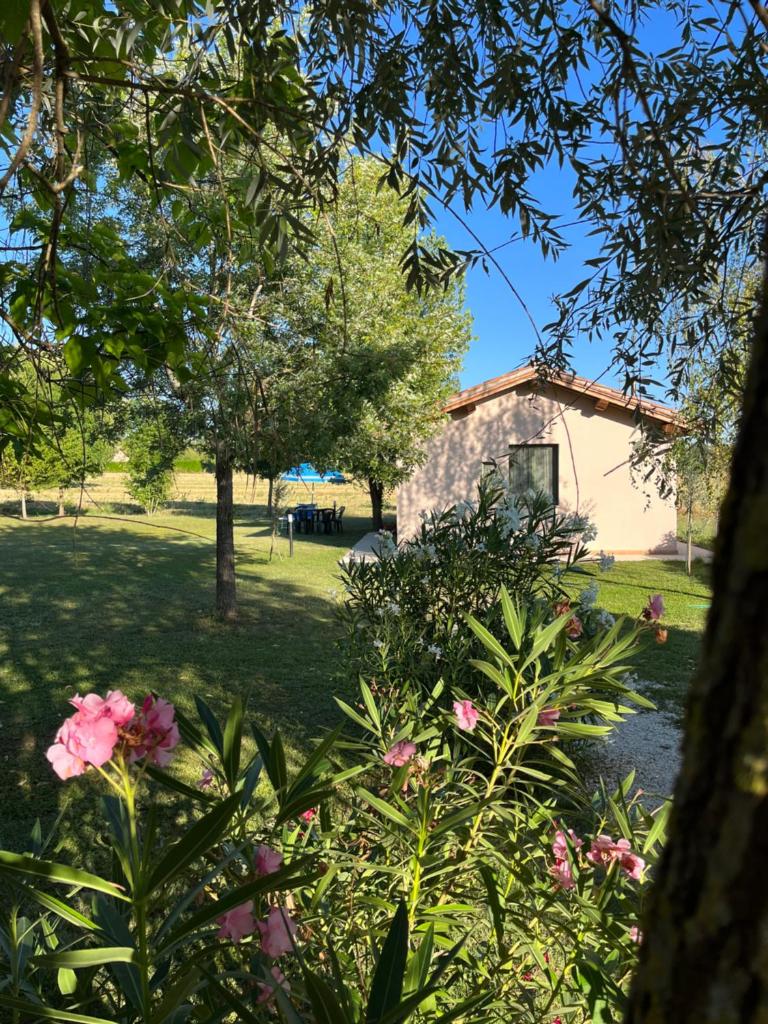 Casa Dora photo 4