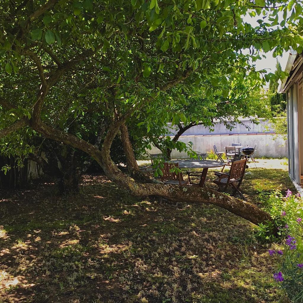 Maison sainte marie de ré photo 2
