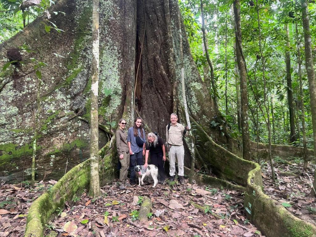 Tambopata Edosikiana Lodge photo 3