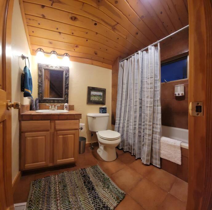 Windsong Lodge-Hot Tub/Mtn View/Breck/Hunt Unit500 photo 4