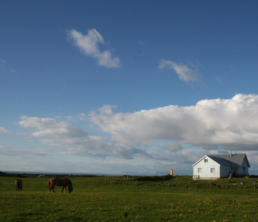 By the Lighthouse photo 1