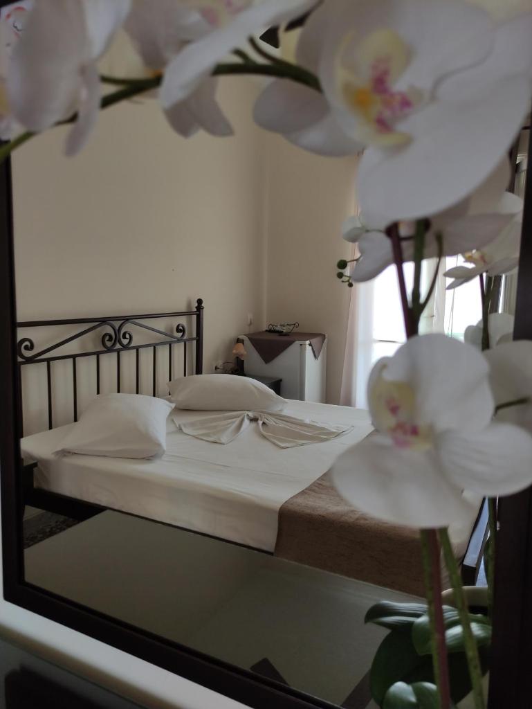 Paradise Garden photo 4