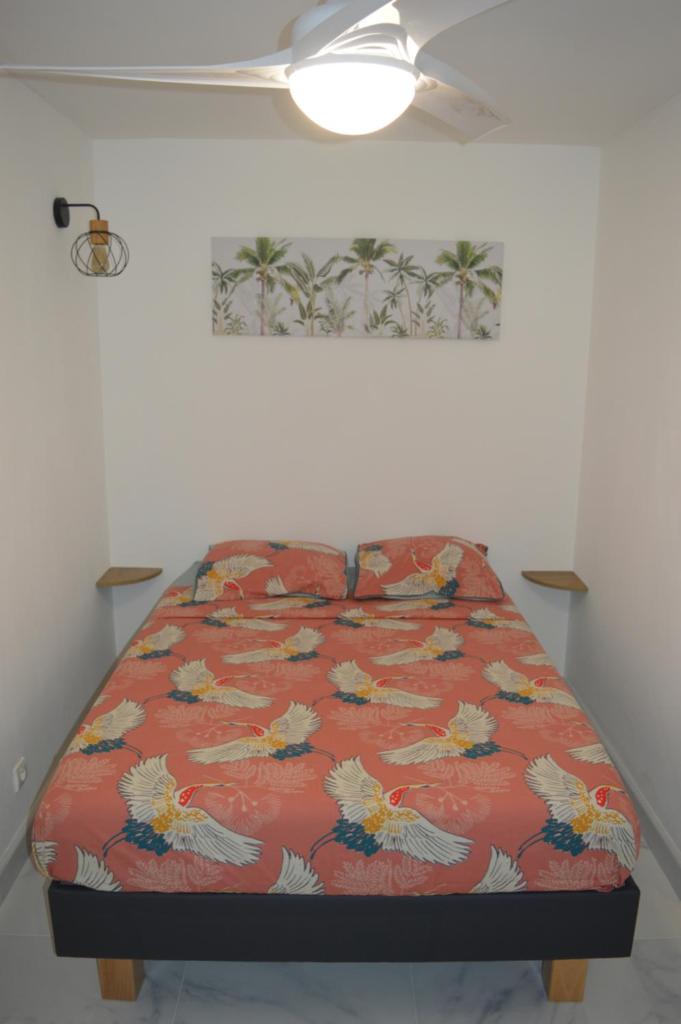 Les Palmiers-Saint Gilles photo 4