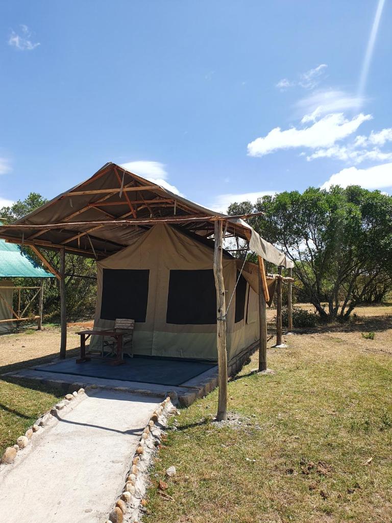 Masai Mara Explore Camp photo 4