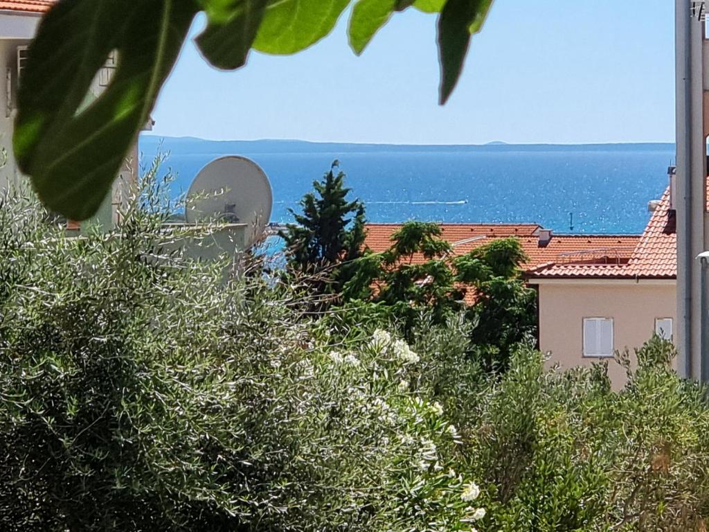 Apartman Dora Novalja photo 1