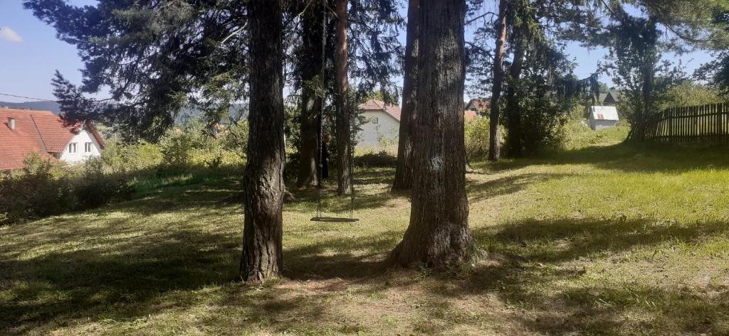 Lep apartman TARA -Kremna photo 4