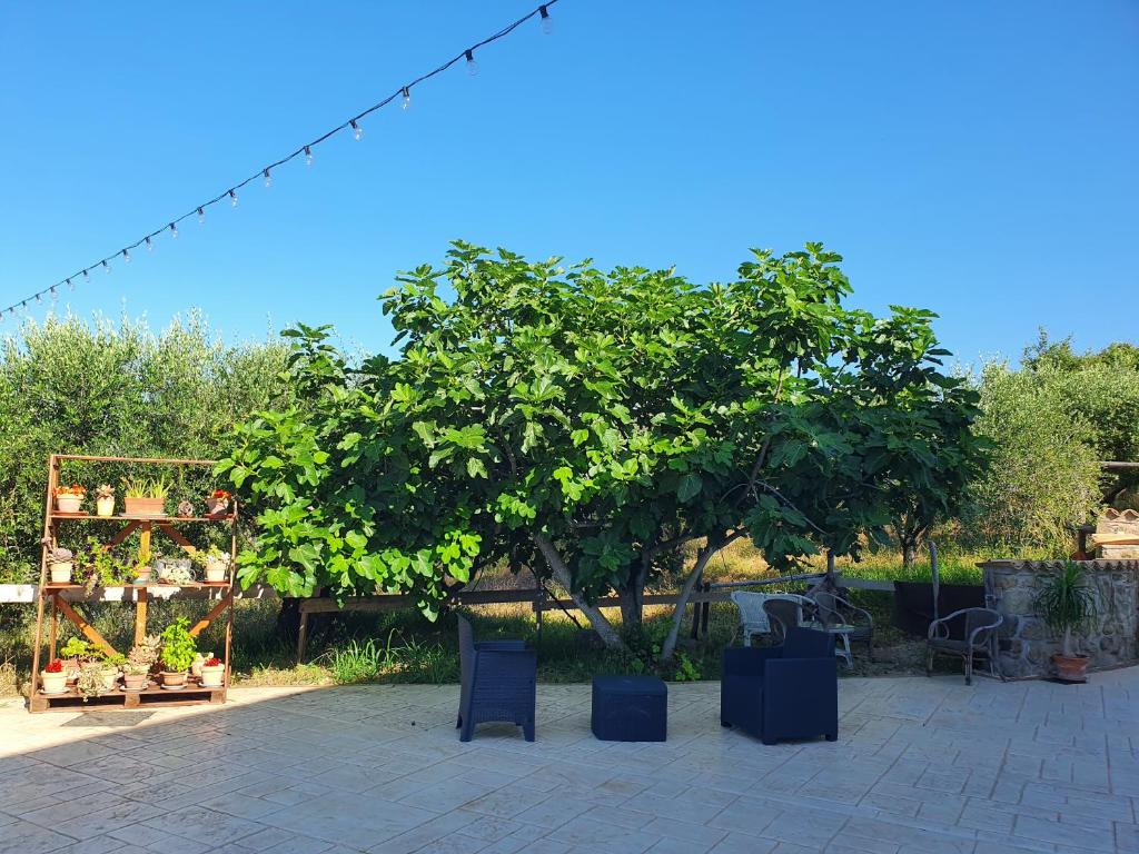 Colle Del Mirto photo 2