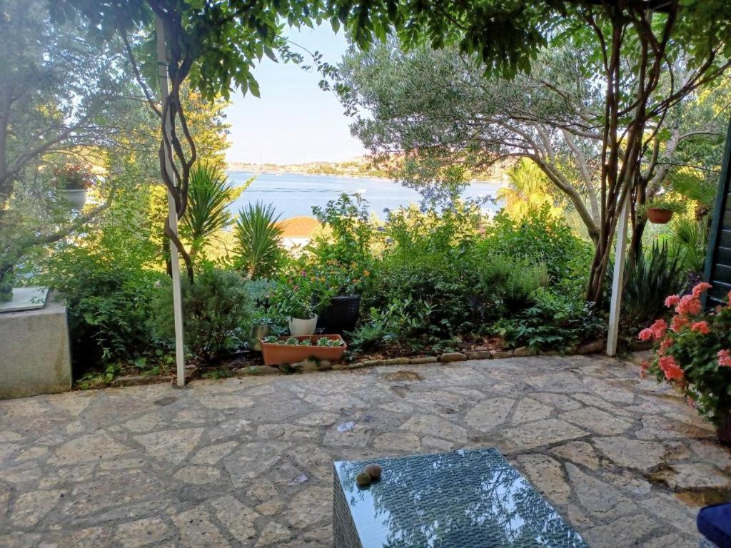 Villa Botanica photo 1