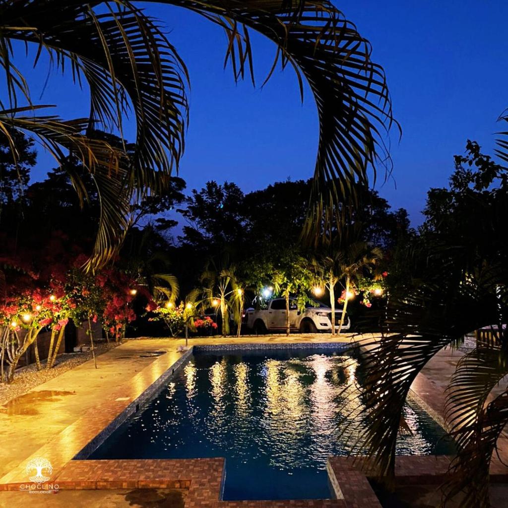 CHOCLINO ECOLODGE -Bungalows photo 4
