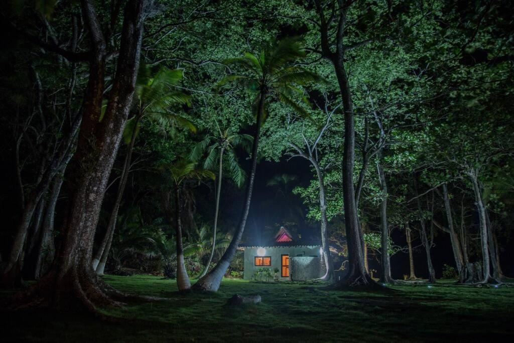Puntita Manzanillo, fantastic sea and jungle retreat photo 1