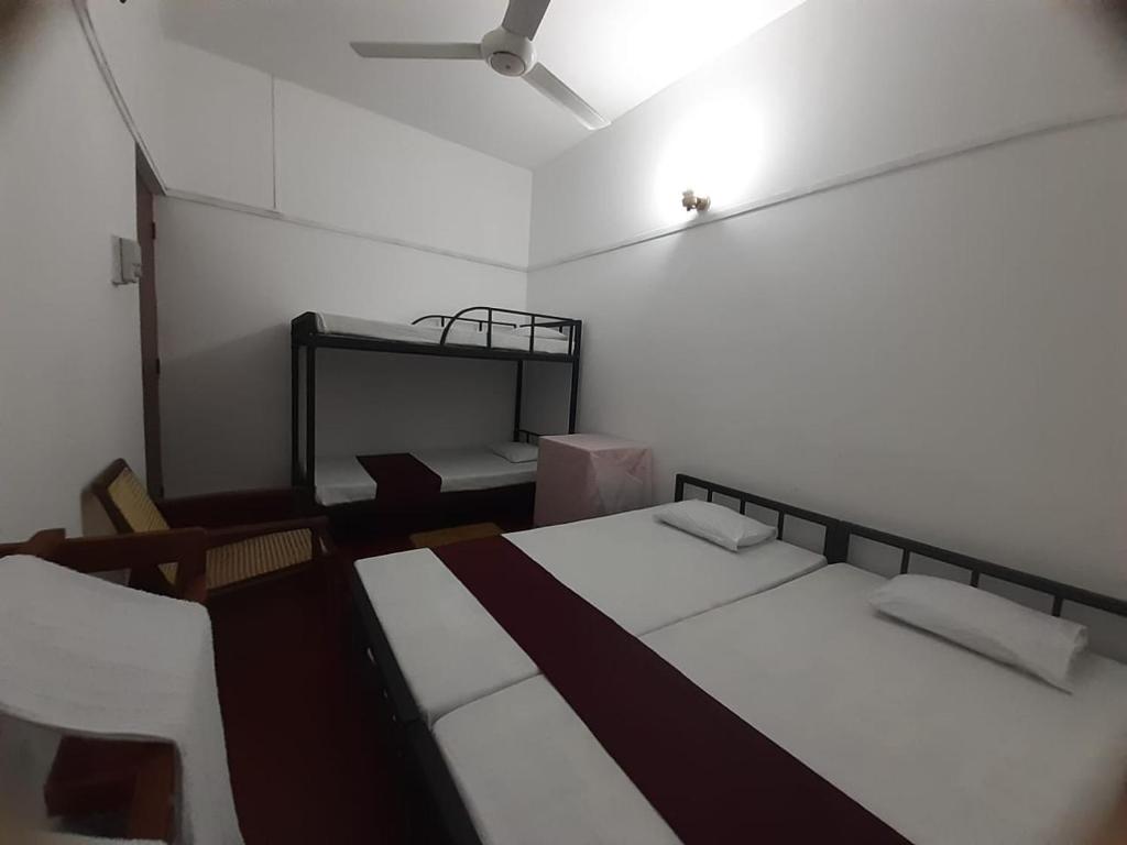 Lazy Bear Best Hostel in Kandy photo 4