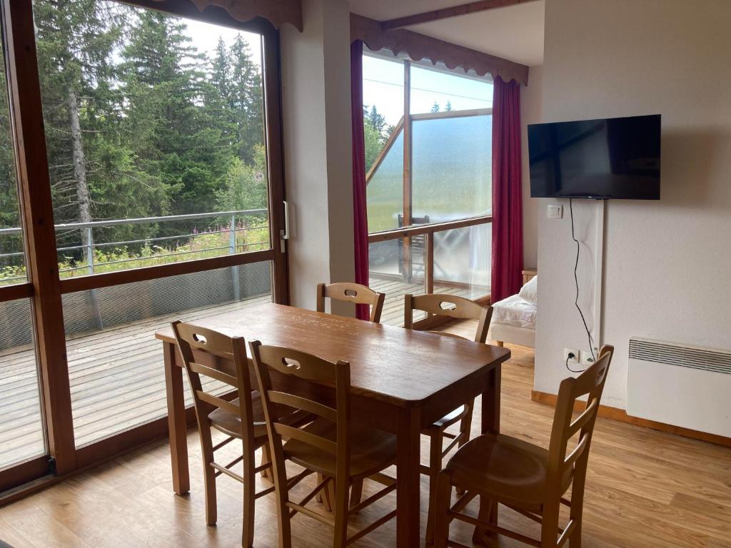Appartement pied des pistes, terrasse wifi et parking