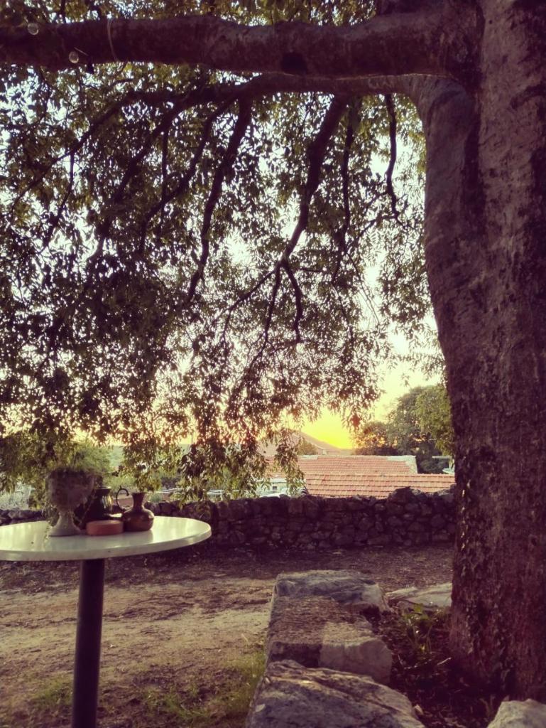 Holiday home Mimara photo 3