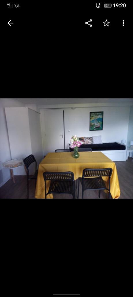Studio la dent du chat photo 4