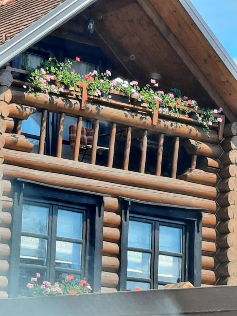 Ruralna kuća za odmor Marta photo 4
