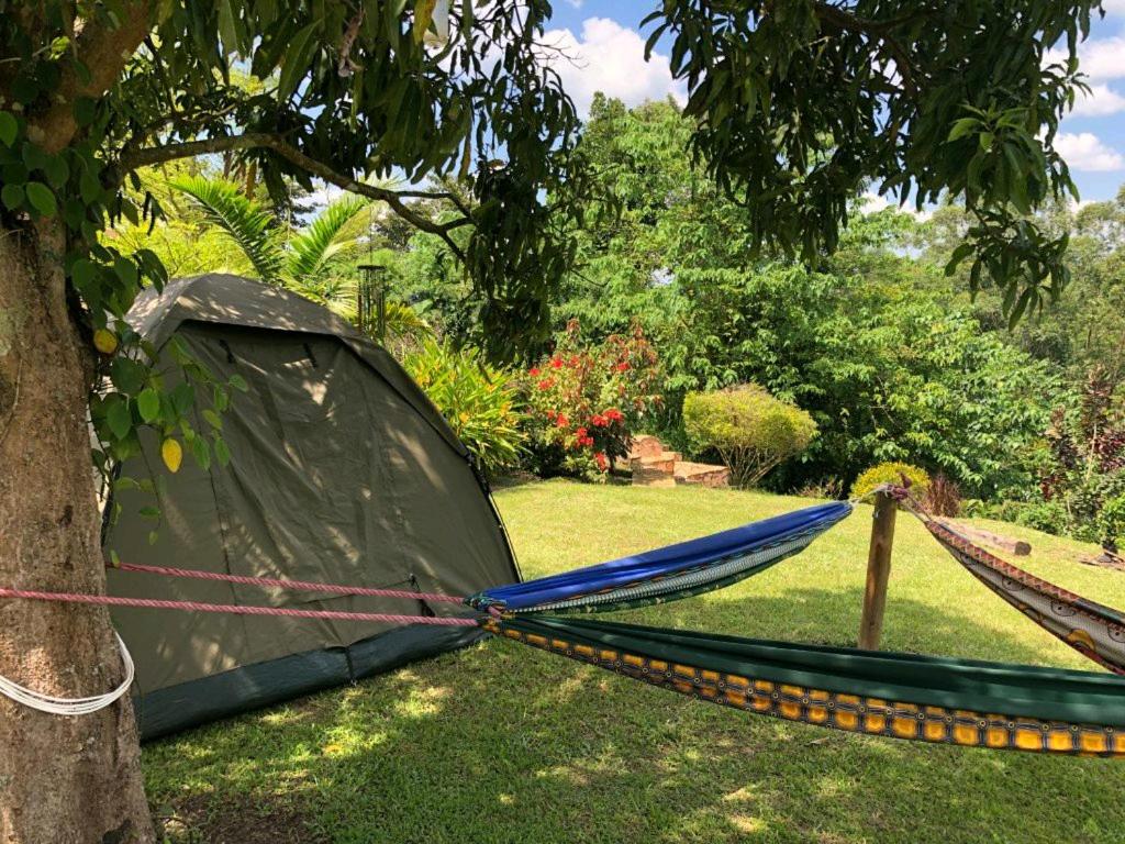 Nileit Campsite Jinja photo 1