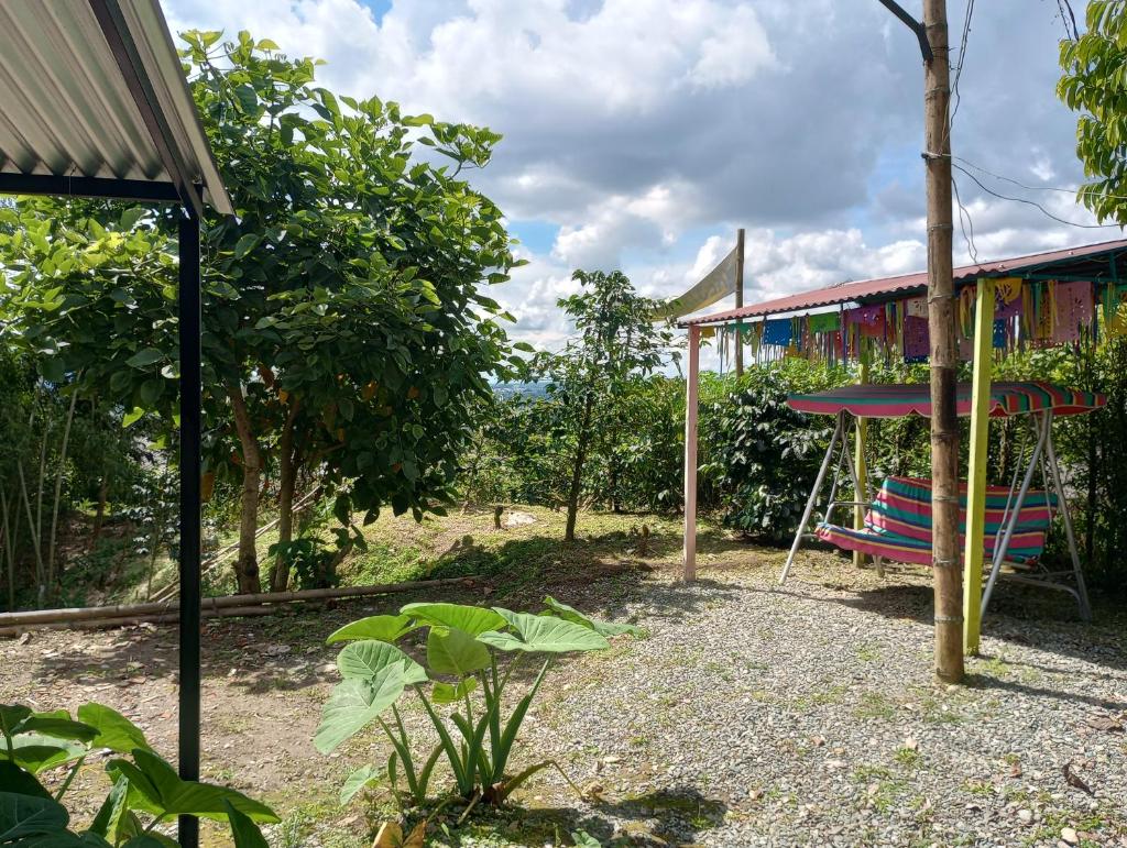 Los Laureles photo 1
