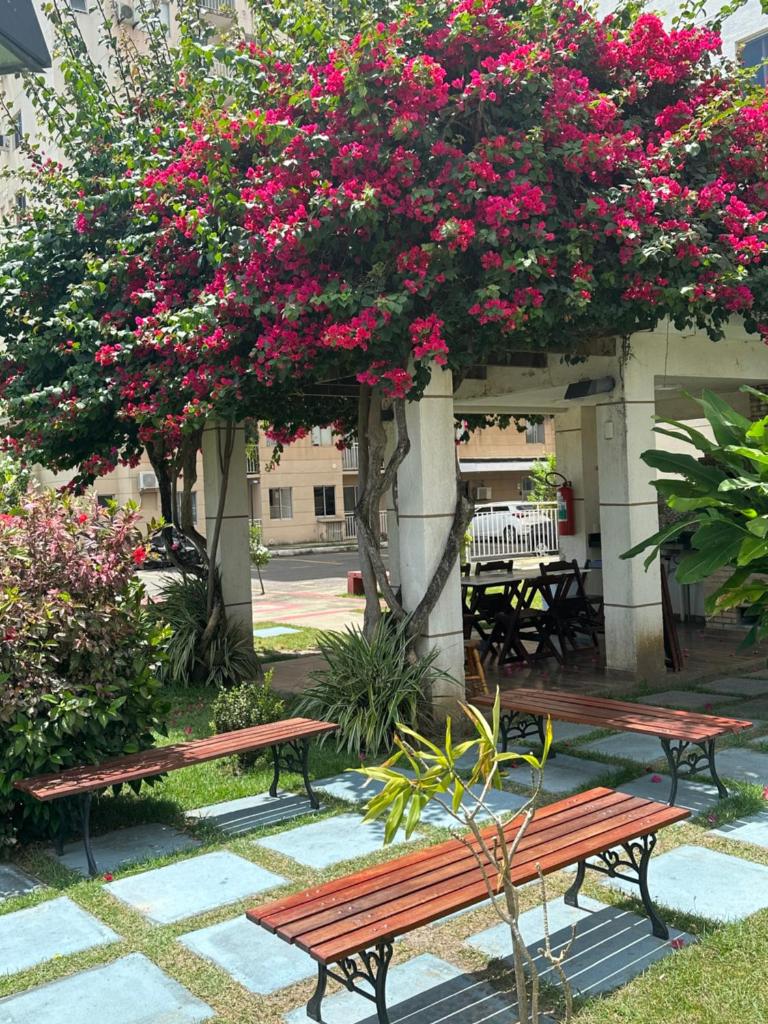 APARTAMENTO CONFORTÁVEL A 900 MTS DA PRAIA DO ARAÇAGY photo 2