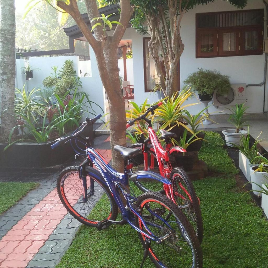 GAYA HOMESTAY photo 4