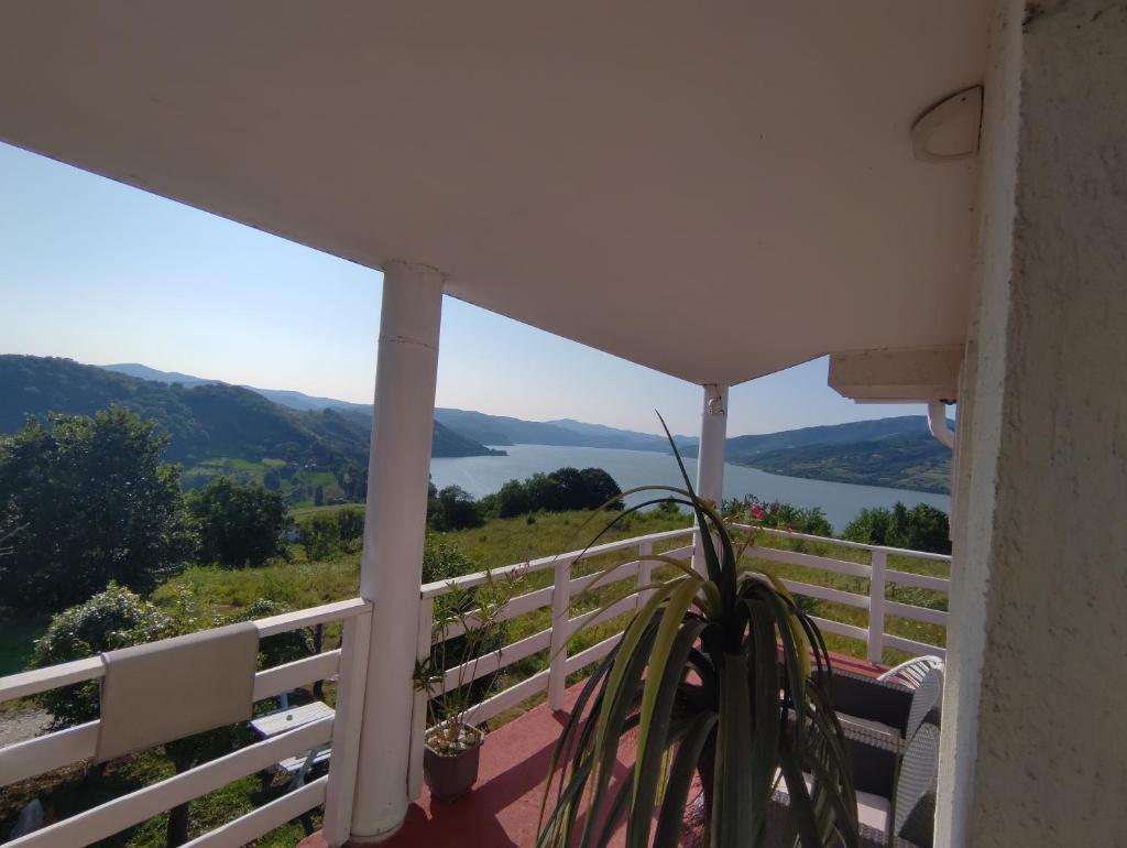 Marković Apartments (vidikovac) photo 1