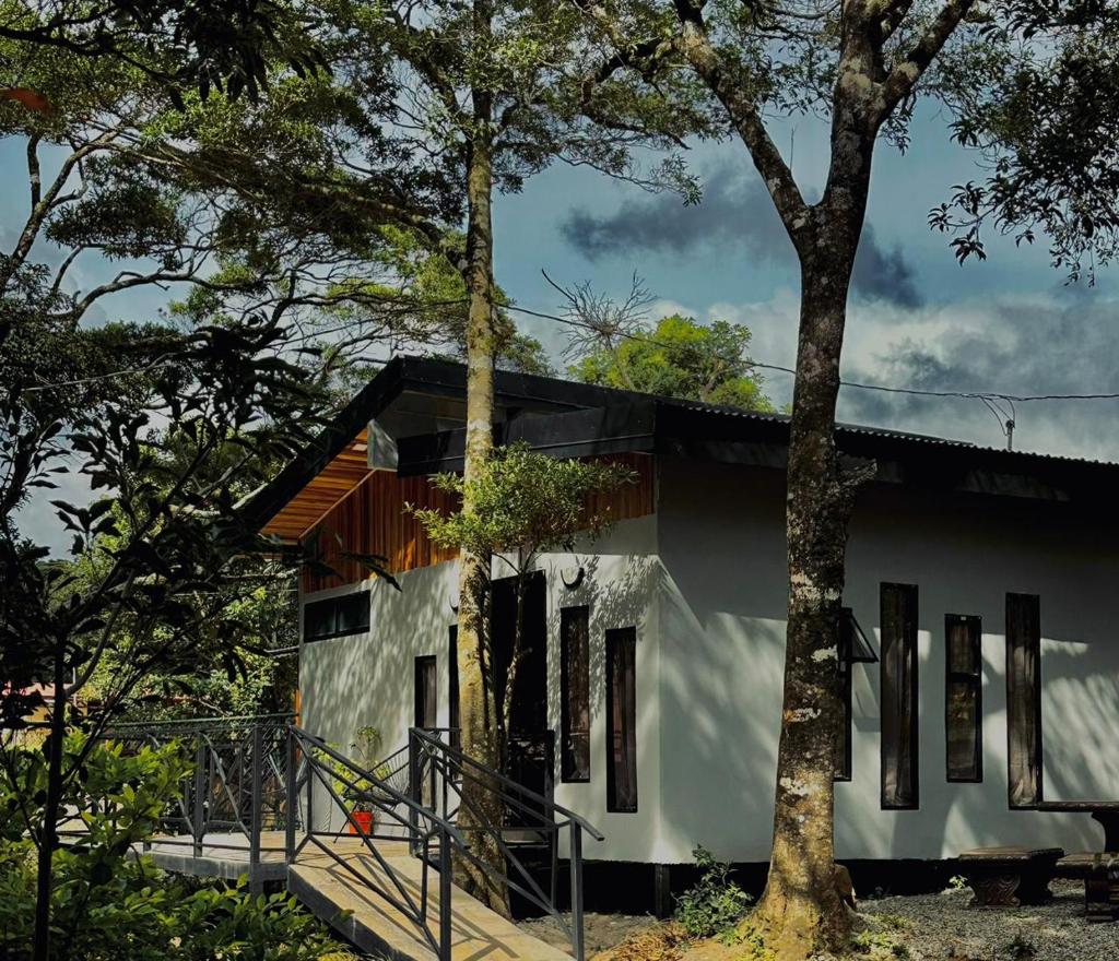 Bungalow Roca Verde Monteverde