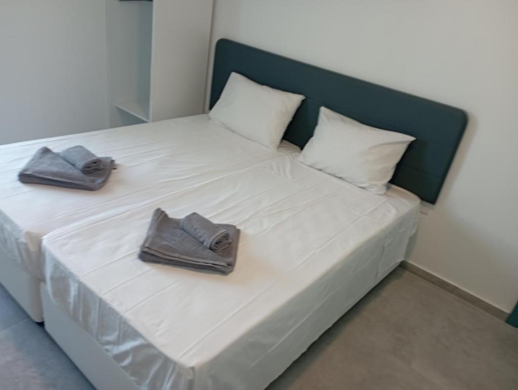 SunSuite photo 4