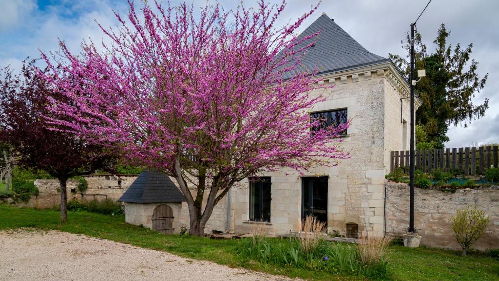 Gîte Saumur Le Pigeonnier, Calme et Cosy photo 1