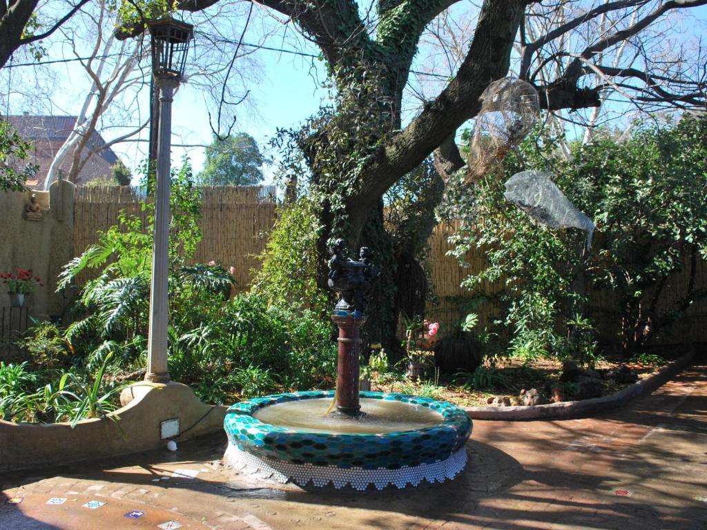 The Flying Angel photo 2